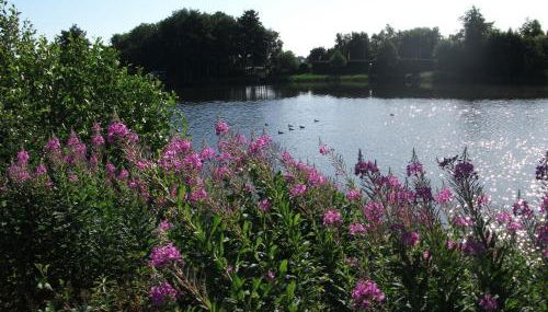 Mediterranes Flair mit Seeblick - Foto 2