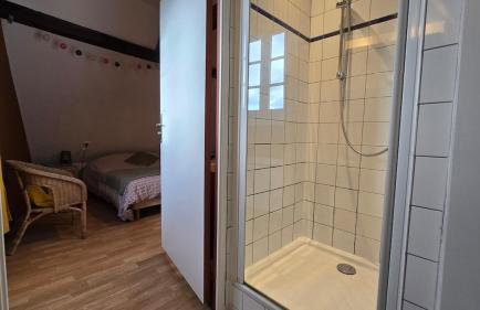 Gite familiale avec piscine Hunawihr, proche de Ribeauvillé et Colmar - Foto 40