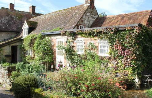 The Garlic Farm - Photo 2