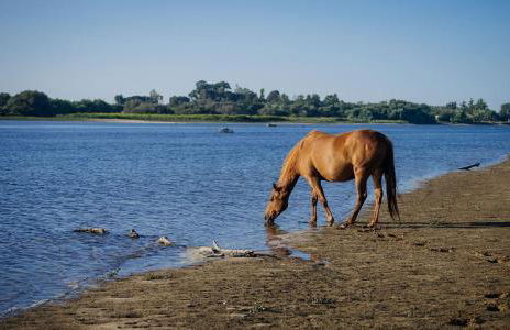 Villa Rio by Valada Village - Foto 80