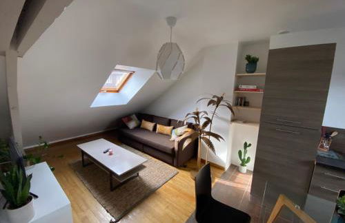 Appartement hyper centre cathédrale avec parking gratuit - Foto 6