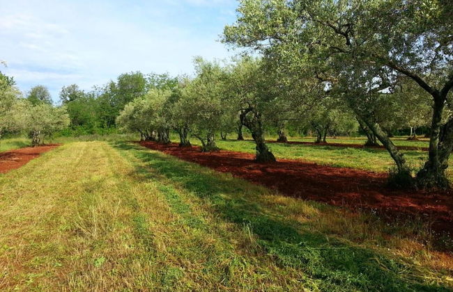 Apartment in Croatia Near the Adriatic Coast - Foto 33
