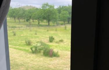 Les gîtes de Pech Caussen - Foto 36