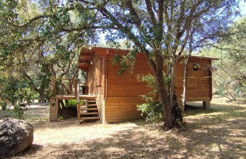 chalets bois 150m de la plage - Foto 21