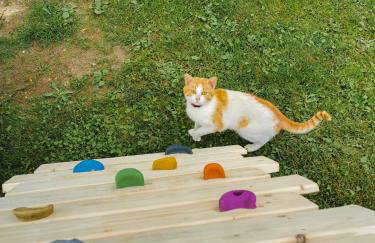 Zakątek Słoneczny pod Baranią Górą - Foto 10