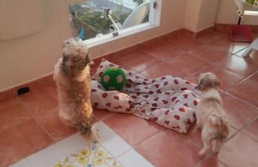 Casa vista mare - Foto 42