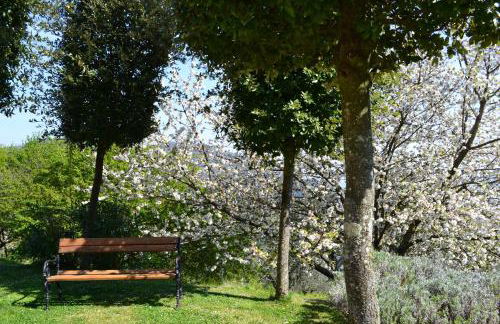Monte A Pescia - Foto 25