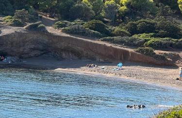 Villa Maxima Lavrio - Foto 46