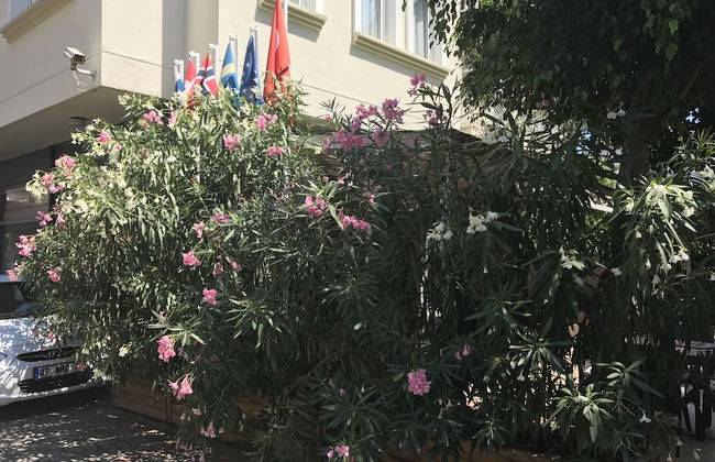 Narcis Apart Hotel - Photo 38