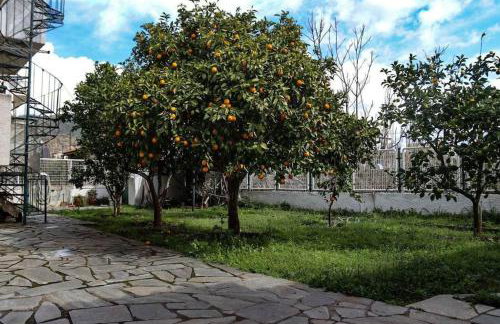 Nice house in Euboea - Foto 26