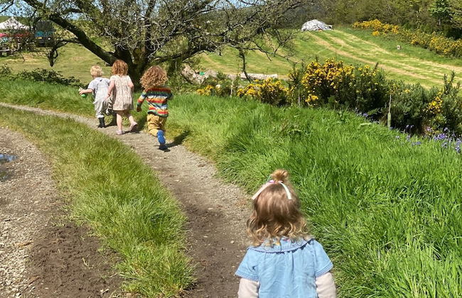 Bell Tent , Carreglwyd Estate, Anglesey - Photo 21