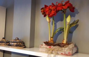 Casa Rotella - Foto 28