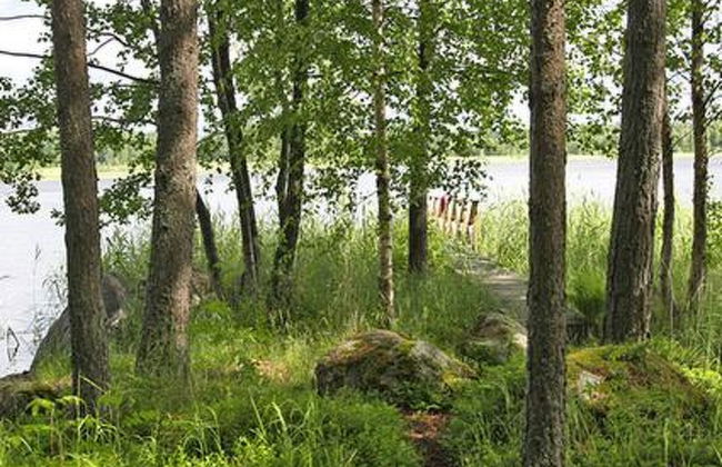 Divaanikivi - Foto 21