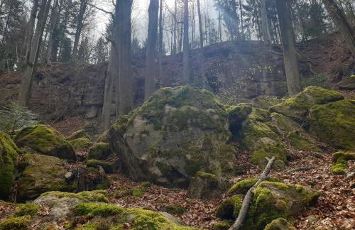 Ferienwohnung Fornsbachblick - Foto 25