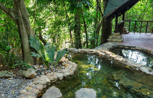 Excursión privada a las termas de Luna Jaguar - Foto 1