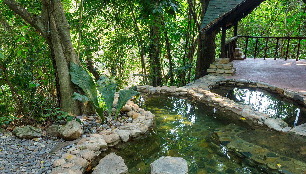 Excursión privada a las termas de Luna Jaguar