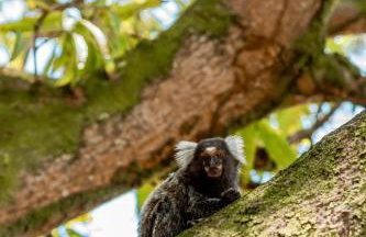 Morada da Praia - Porto de Pedras à Beira-Mar - Foto 29
