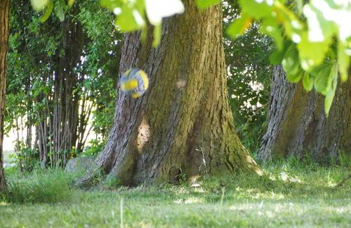 Gut-Rattelvitz-Parterre-A-hochwertig-Sauna-Kamin-eTankstelle-Spielscheune-15-000qm-Parkland - Foto 16