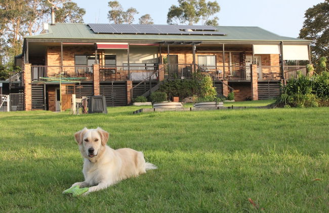 Bryn Glas Farm Stay - Foto 25