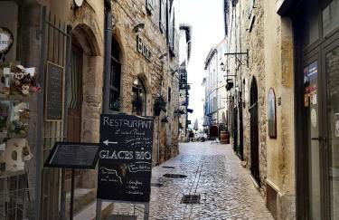 Domaine de l'Astic - Foto 56