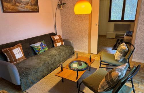 Vénosc-Les 2 Alpes , Rez de jardin - Photo 37