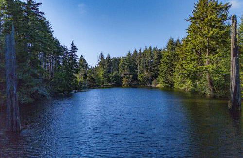 Glass House - Foto 33