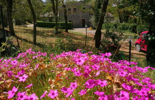 Agriturismo Il Cornalino - Foto 9