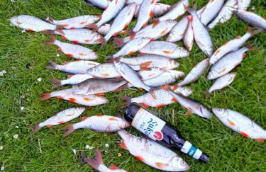 Ferienhuette - Photo 32