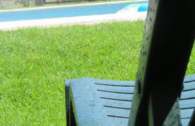 Quinta da Ribeira - Foto 61