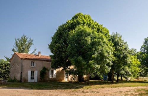 Ferrassou - château et ferme - Foto 39