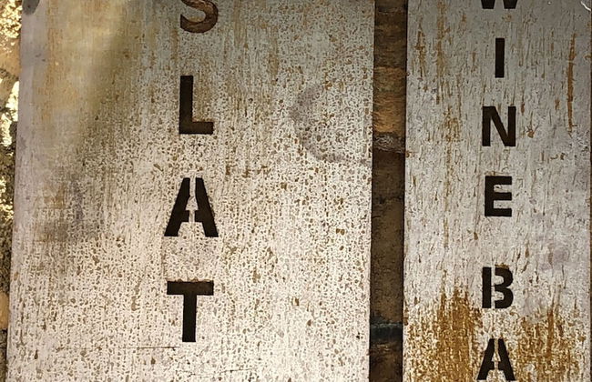 Cal Campana - Adults Only - Photo 33