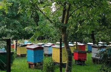 Wyciszek - mazurska agroturystyka - Foto 23