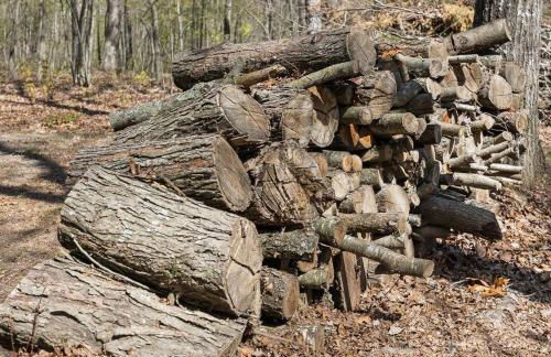 Baca Cabin Near Compton, Ponca, Buffalo River, Trails - Foto 56