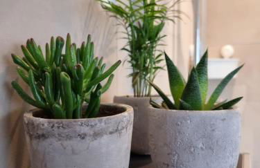 FeWo Sundernblick - Foto 7