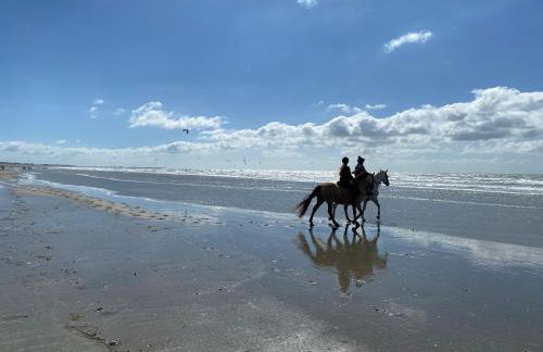South View - West Wittering beach house with direct beach access - Foto 17