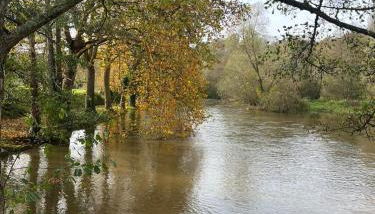 Gîte familial au bord de l'Orne, au pied du château de Mesnil-Glaise - Foto 2