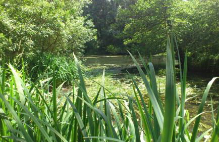 La Maison des Renaudières - Foto 18