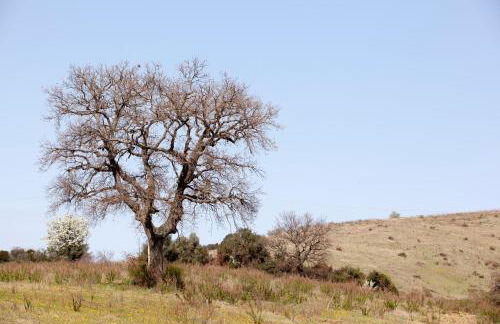 La Fondona - Foto 21