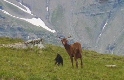 Skis aux pieds station 1600 Sun Vallée - Foto 48