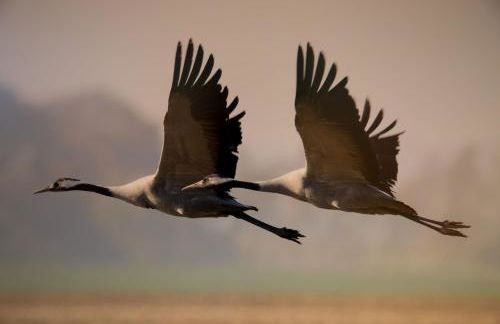 Ferien-VILLA VIVA LA VIDA - Foto 25