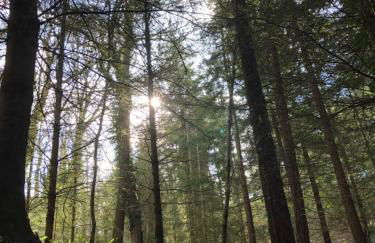 Le Courlis - Foto 16