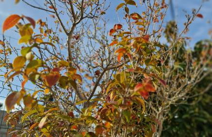 Monte da ti Luzia - Foto 46