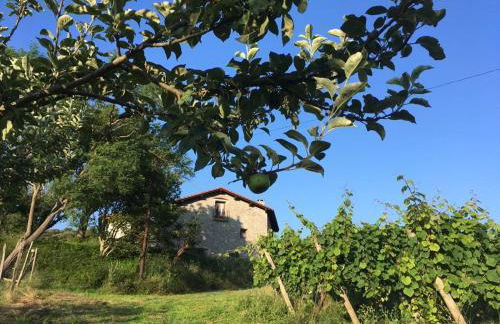 Agroturismo Erlete Goikoa -ESTAMOS EN EL CAMINO DE SANTIAGO -WE ARE ON THE CAMINO DE SANTIAGO- SENDERISMO-RUTAS Y BICICLETA - Photo 54