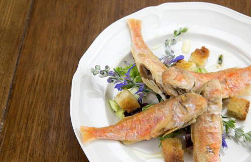 TENUTAYALA - Residenza Agrituristica - Foto 62