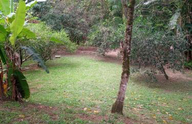 Chácara Buscapé - Sana-RJ - Pacote 6mil Reais - Photo 18