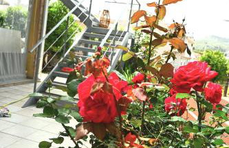 Mika's B luxury House near Faliraki - Photo 2