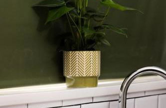 Swindon Dream - Foto 21