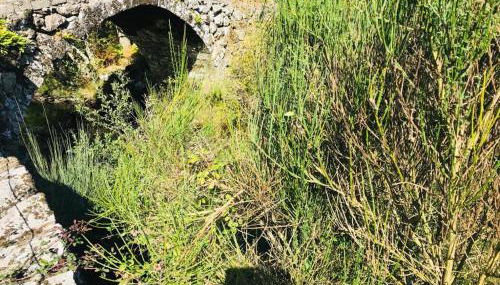 Janelas da Cabreira - Foto 5