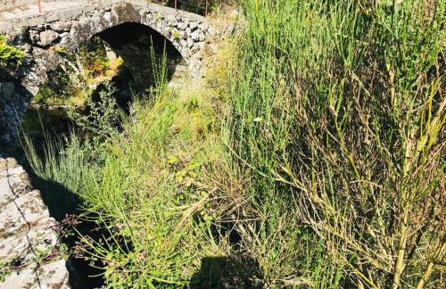 Janelas da Cabreira - Foto 5