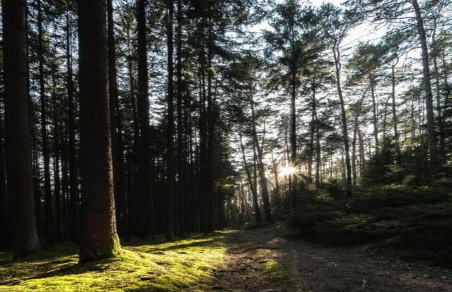 Holiday Home With Private Terrace in Gehren - Foto 34